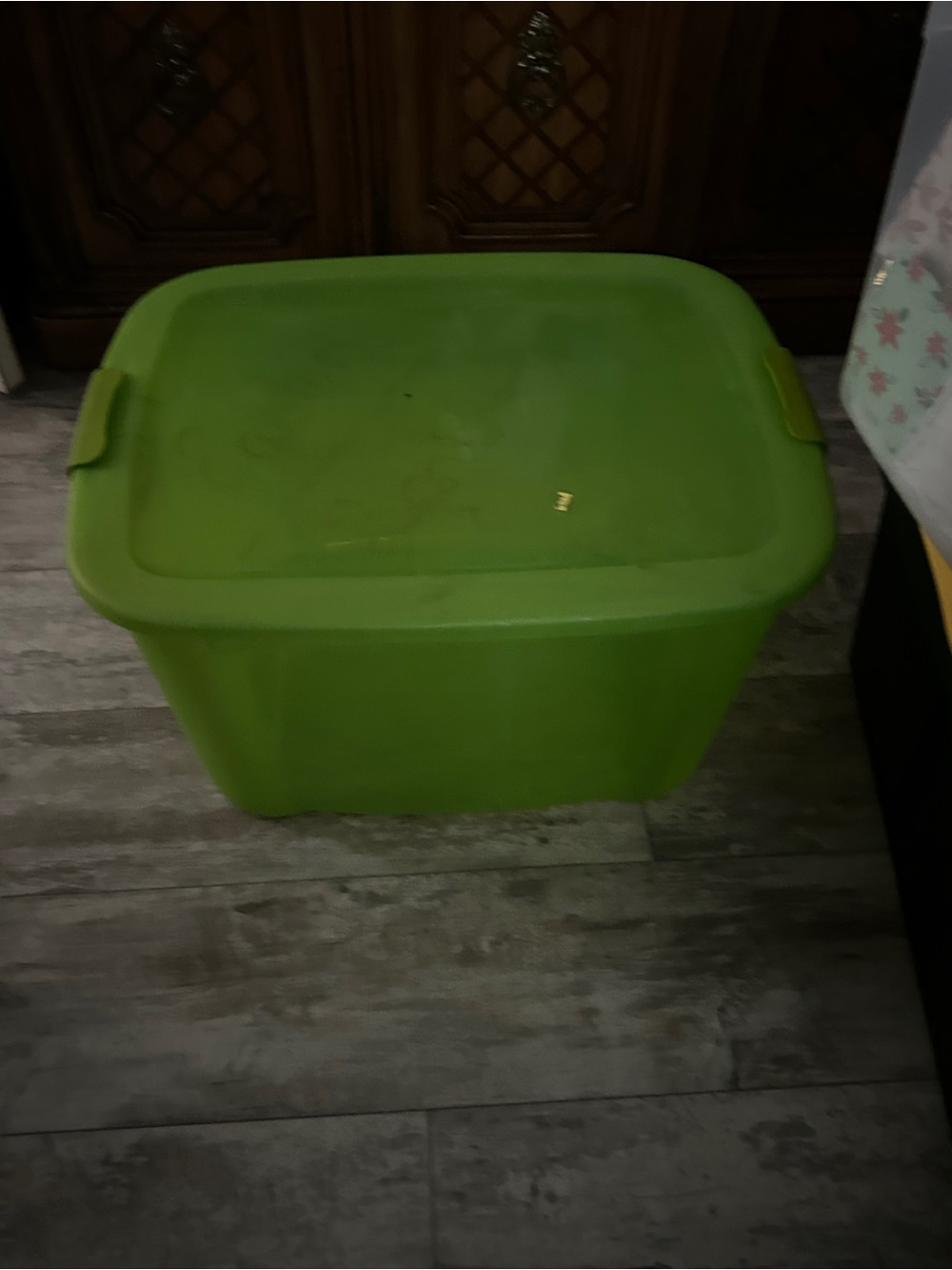 Source Unknown Bright Green Plastic Storage Bin with Lid